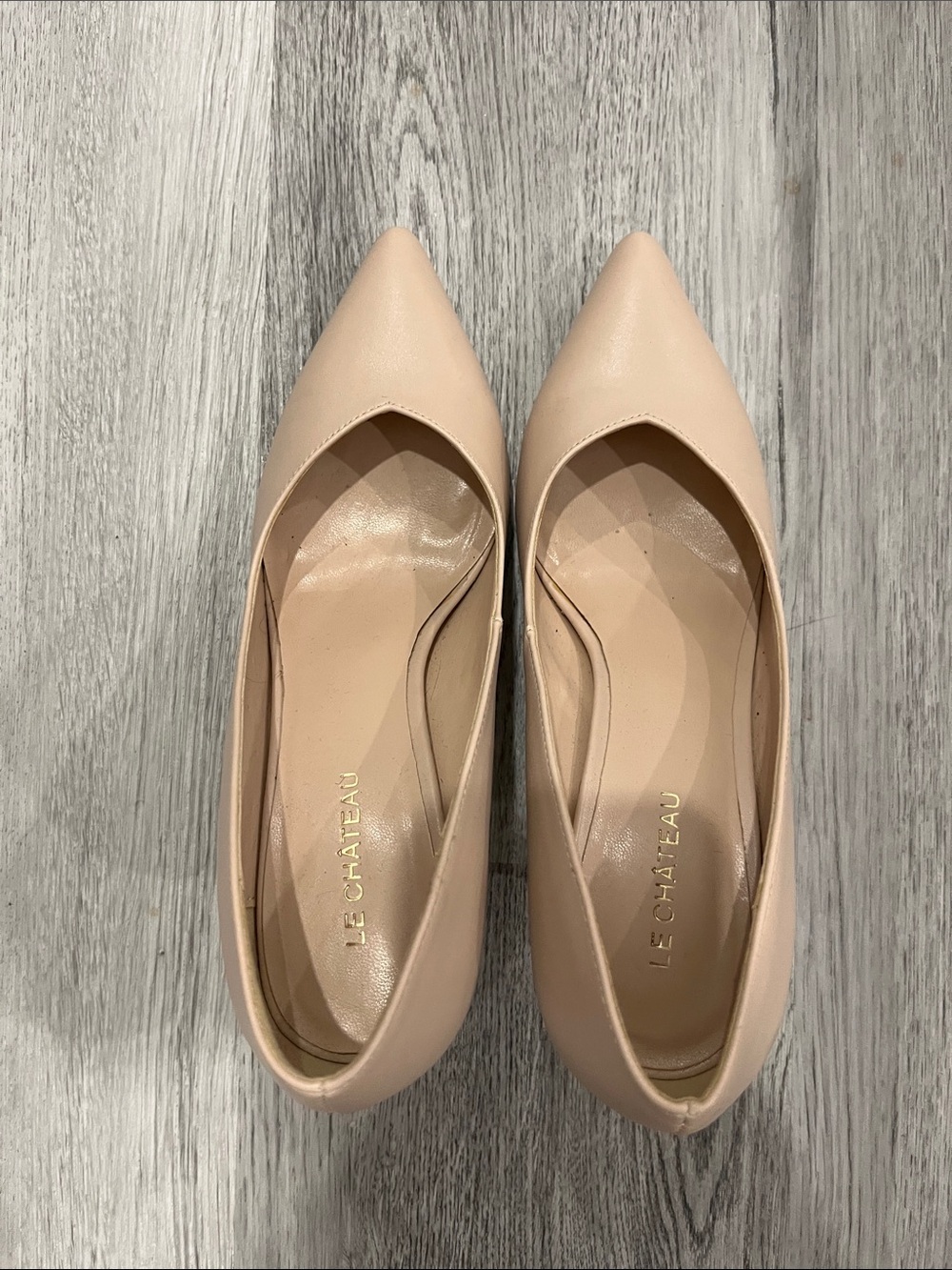 le chateau Pointed Toe Heels in Blush Nude